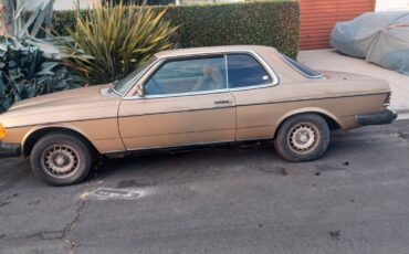 Mercedes-300cd-diesel-1980-6