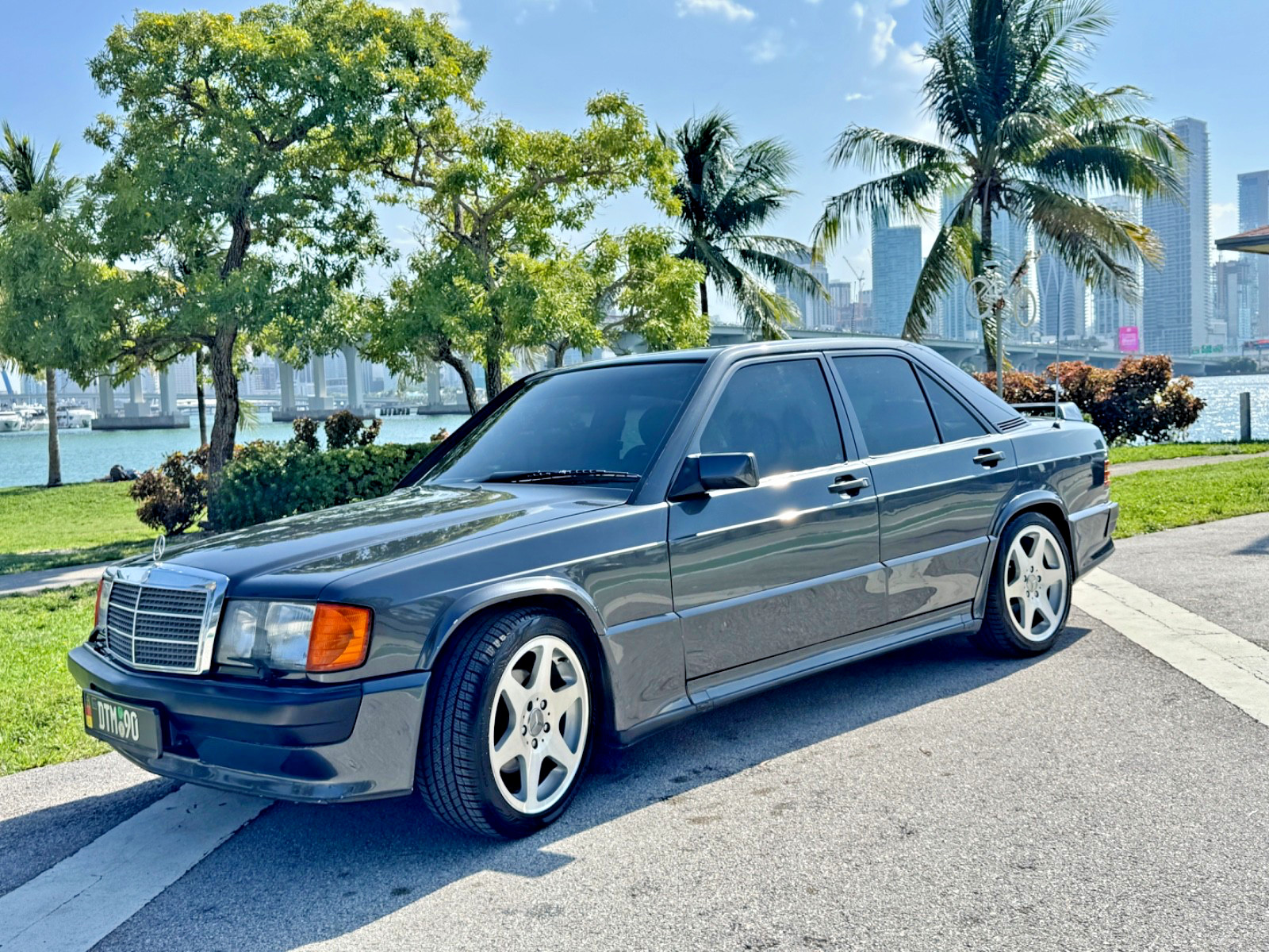 Mercedes-Benz 190-Series 1989 Sedan