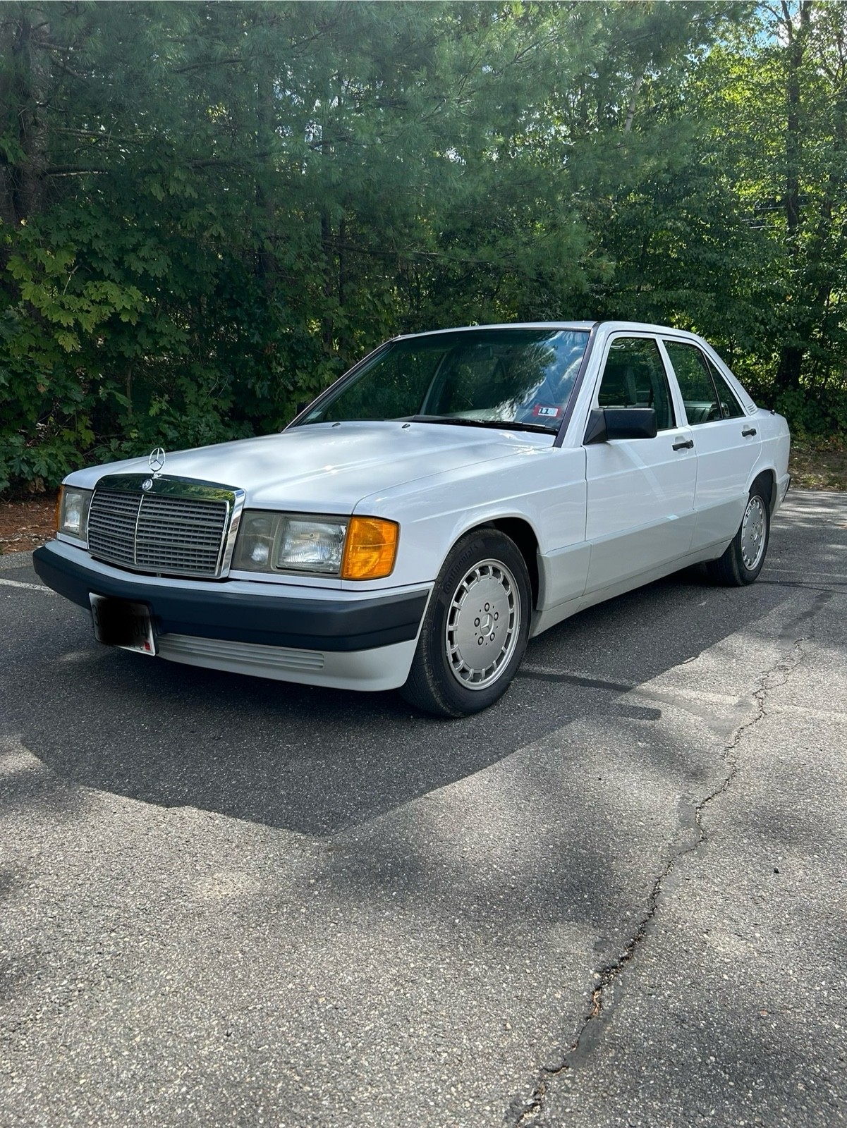 Mercedes-Benz-190-Series-1991-6