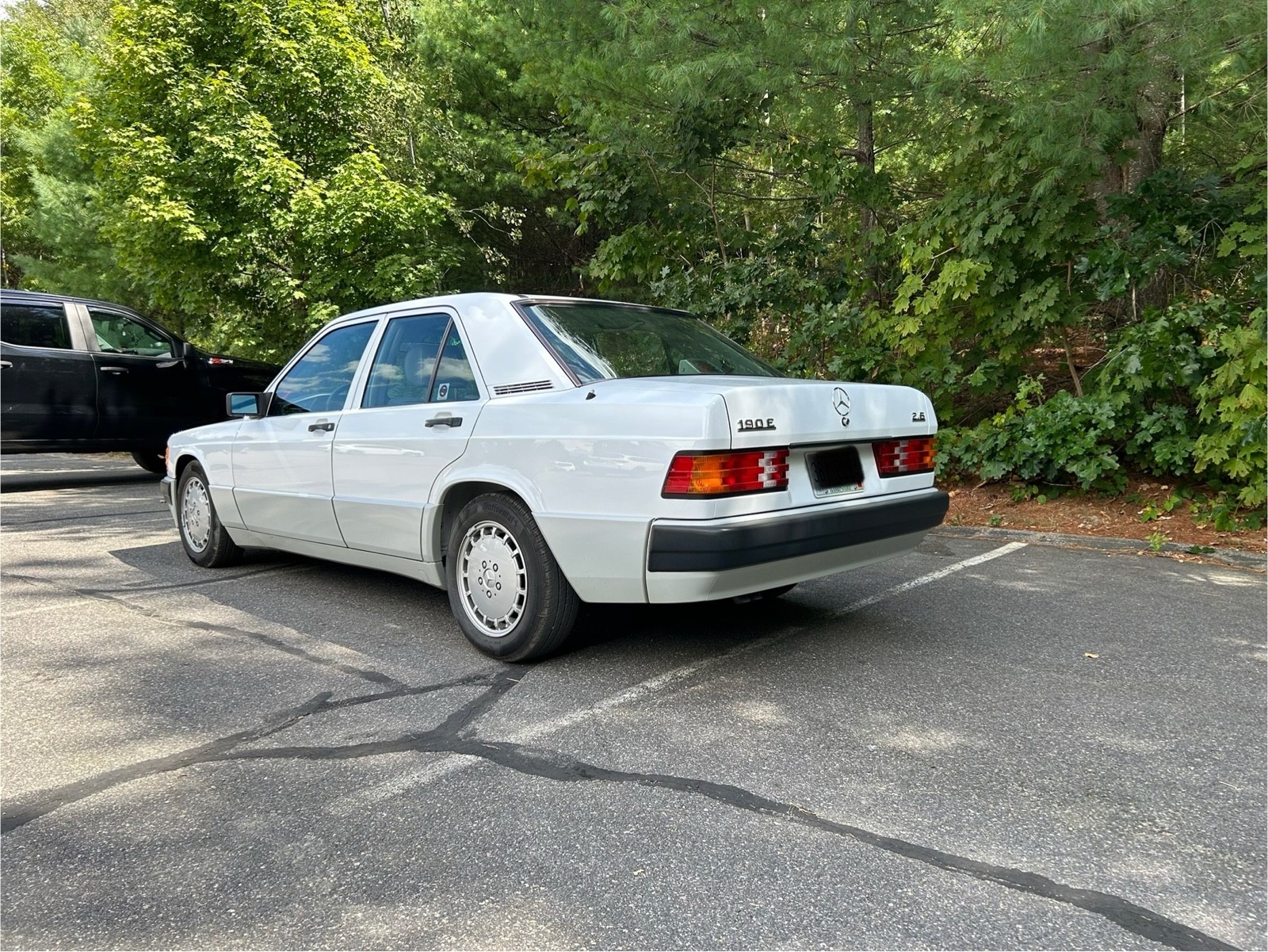 Mercedes-Benz-190-Series-1991-8