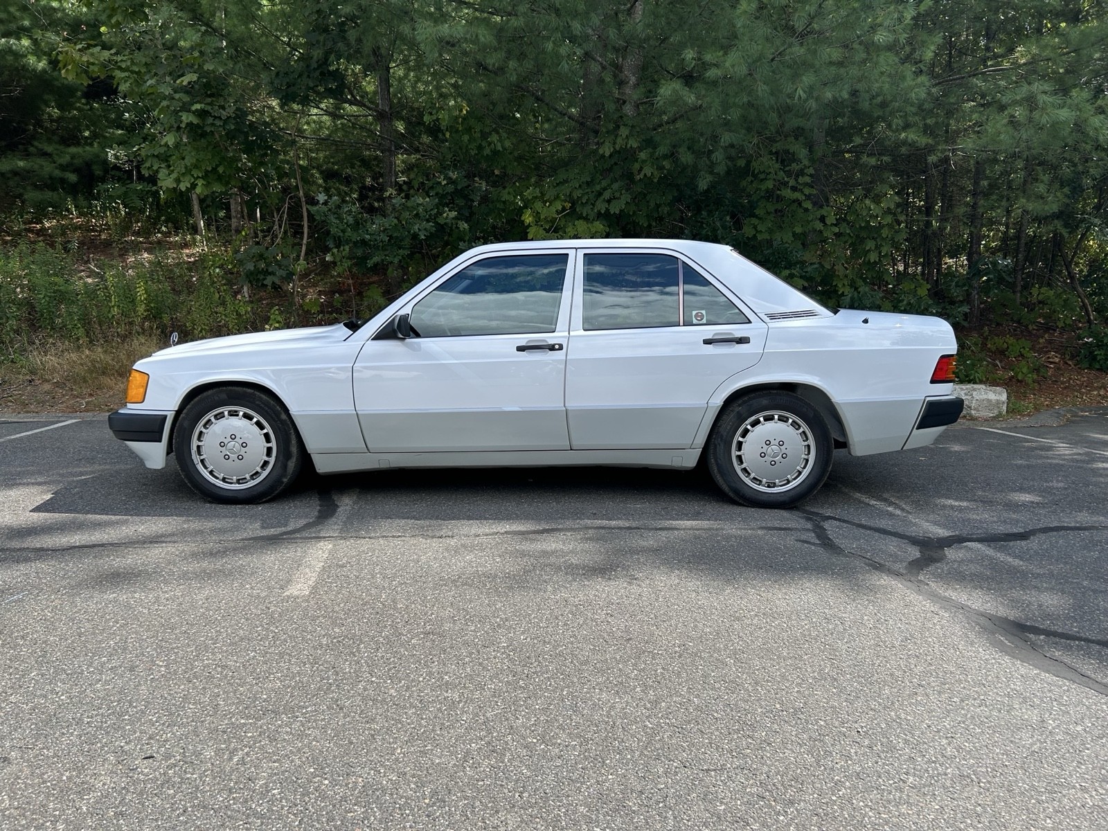 Mercedes-Benz-190-Series-1991-9