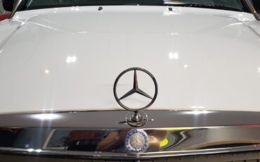 Mercedes-Benz-190-Series-1991-Sedan-29