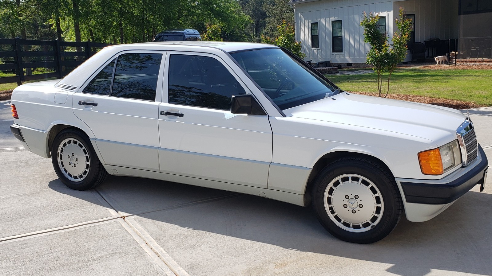 Mercedes-Benz 190-Series 1991 Sedan