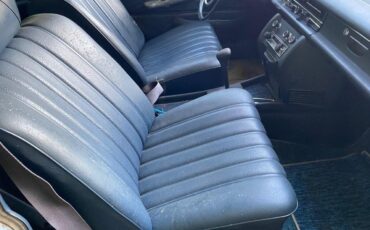 Mercedes-Benz-220-1971-13