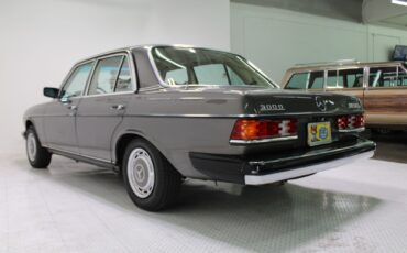 Mercedes-Benz-300-Series-1978-Sedan-2