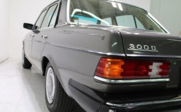 Mercedes-Benz-300-Series-1978-Sedan-20