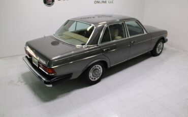 Mercedes-Benz-300-Series-1978-Sedan-26