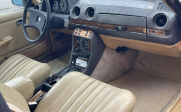 Mercedes-Benz-300-Series-1980-Coupe-14