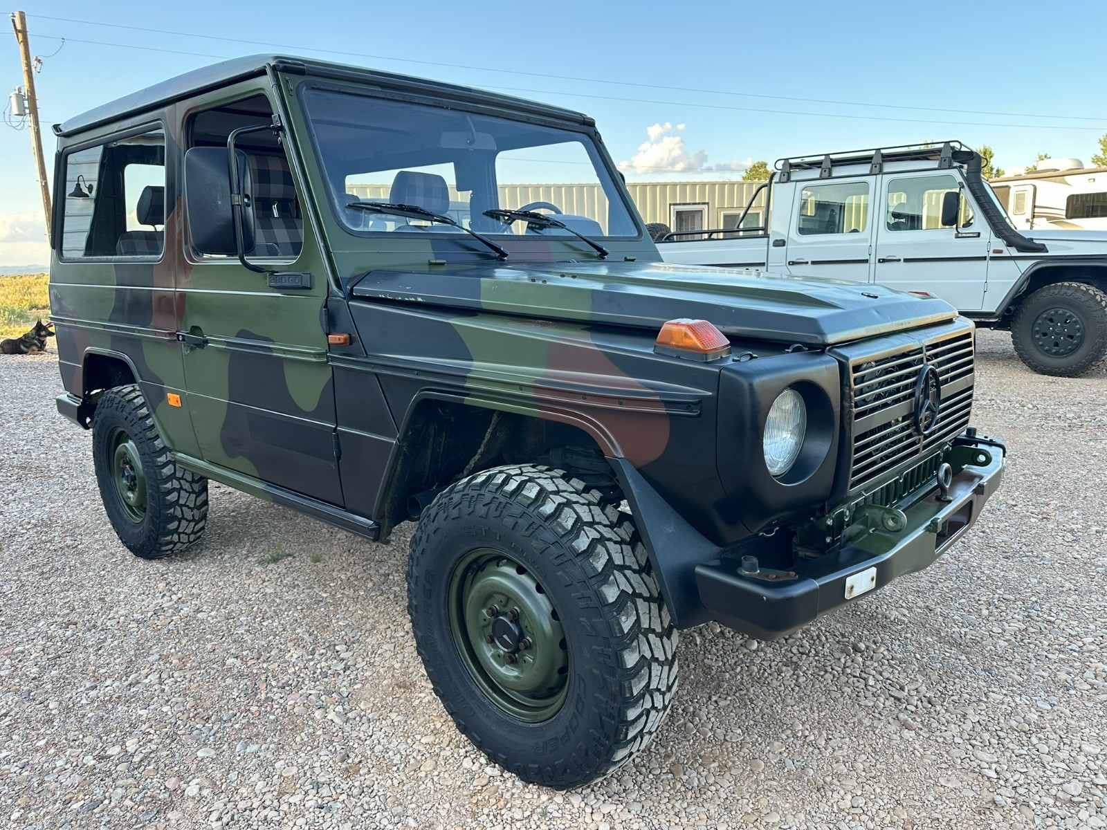 Mercedes-Benz-G-Class-1996-Wagon-4