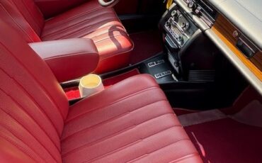Mercedes-Benz-Other-1974-Sedan-9