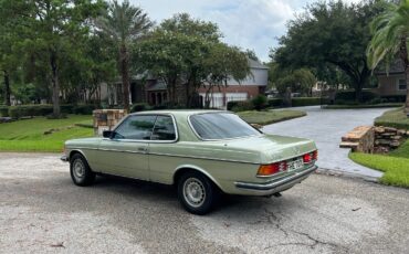 Mercedes-Benz-Other-1979-Coupe-3