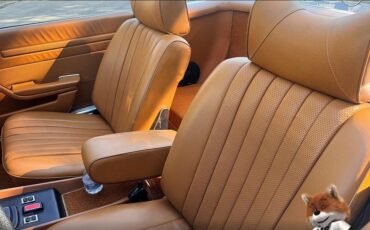 Mercedes-Benz-SL-Class-1976-Convertible-16
