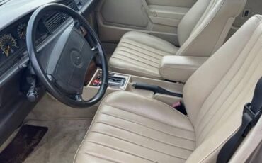 Mercedes-benz-190e-1991-grey-1