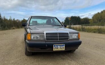 Mercedes-benz-190e-1991-grey-2