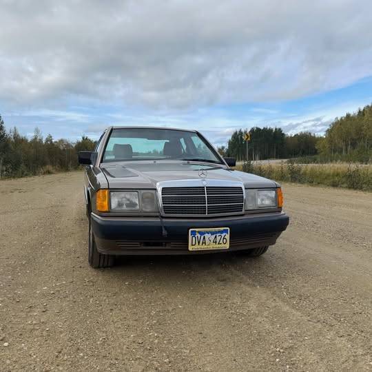 Mercedes-benz-190e-1991-grey-2