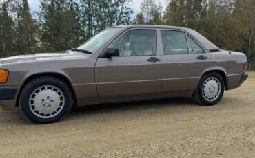 Mercedes-benz-190e-1991-grey