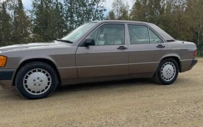 Mercedes-benz 190e 1991