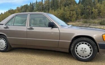 Mercedes-benz-190e-1991-grey-7