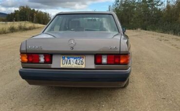 Mercedes-benz-190e-1991-grey-8