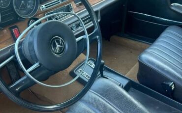 Mercedes-benz-1973-12