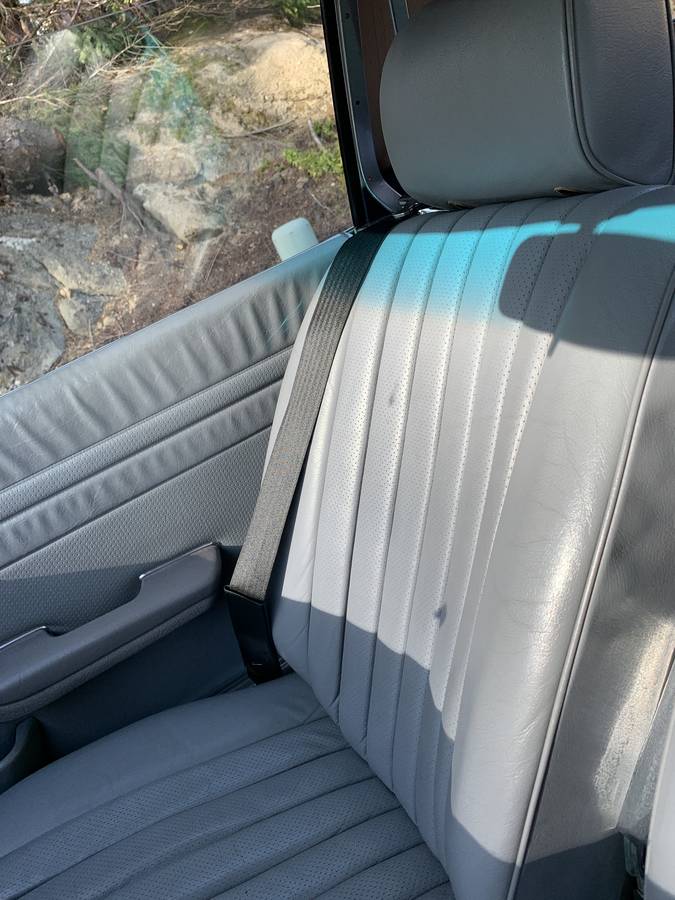 Mercedes-benz-1982-blue-12