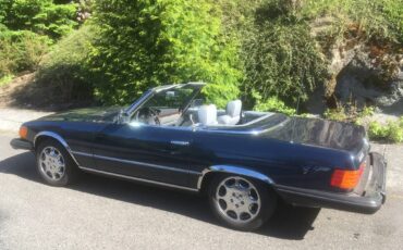 Mercedes-benz-1982-blue-5
