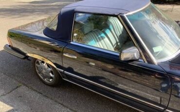 Mercedes-benz-1982-blue-6