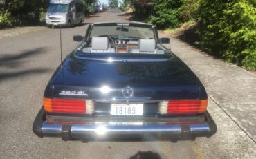 Mercedes-benz-1982-blue-8