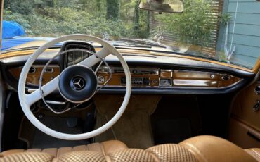 Mercedes-benz-220s-1965-Gold-Beige-12