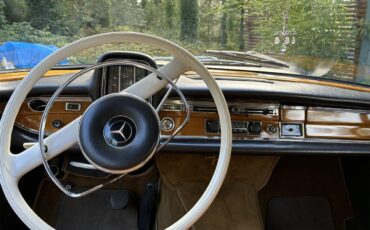 Mercedes-benz-220s-1965-Gold-Beige-13