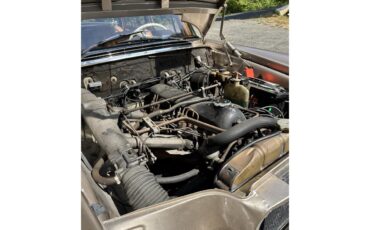 Mercedes-benz-220s-1965-Gold-Beige-2