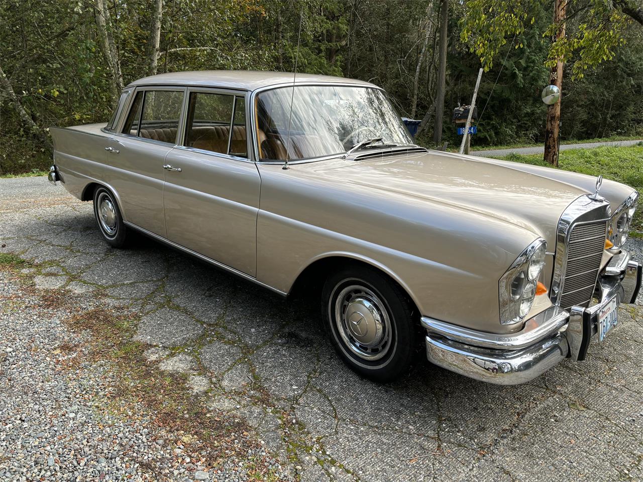 Mercedes-benz-220s-1965-Gold-Beige-6