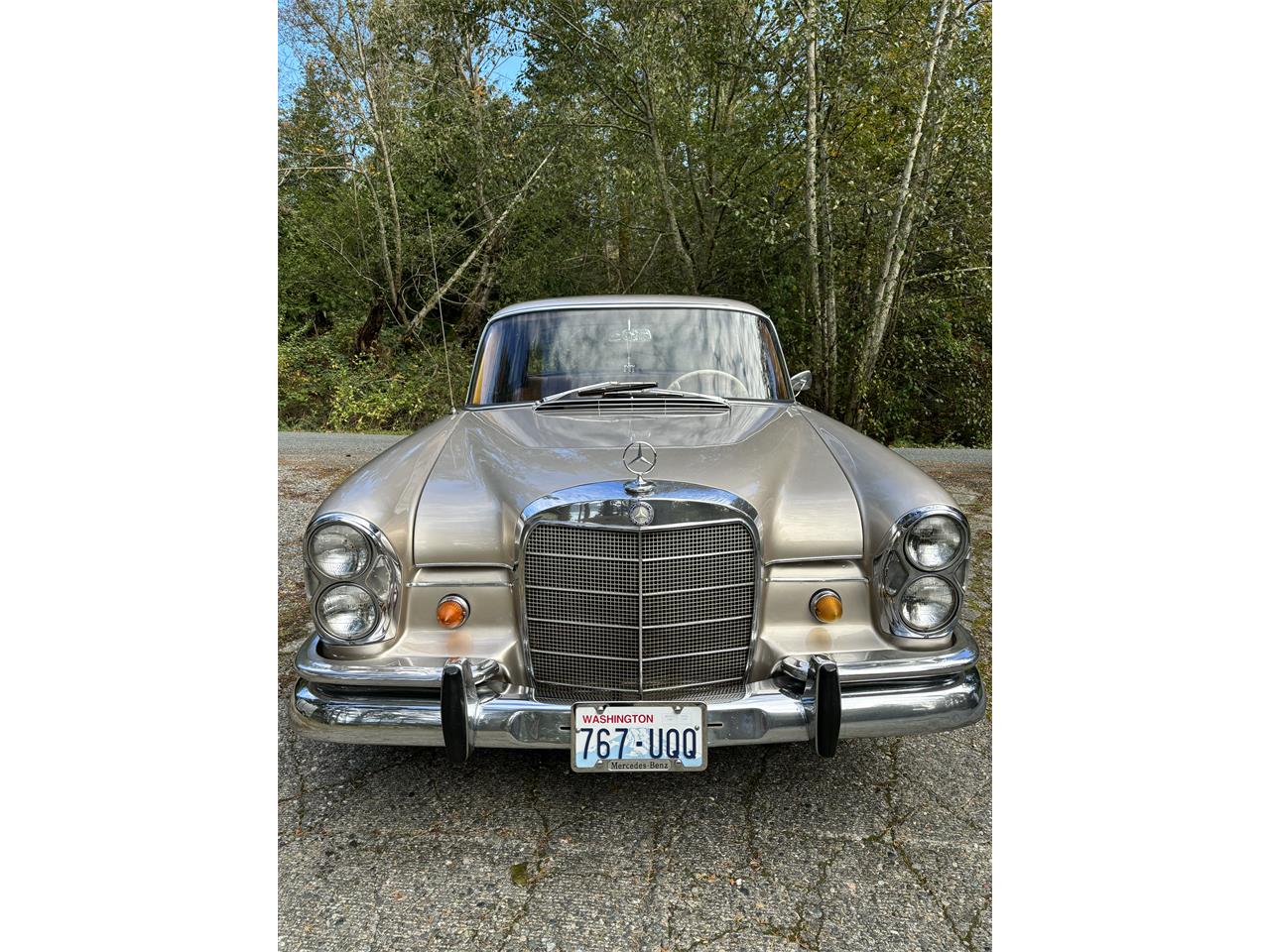 Mercedes-benz-220s-1965-Gold-Beige-7