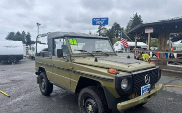 Mercedes-benz-240-gd-diesel-1988-green