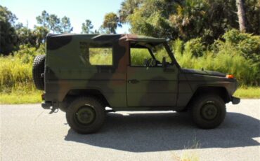 Mercedes-benz-250gd-1992-Woodland-Green-11