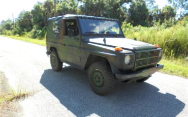 Mercedes-benz-250gd-1992-Woodland-Green-12