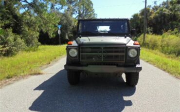 Mercedes-benz-250gd-1992-Woodland-Green-13