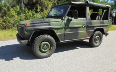 Mercedes-benz-250gd-1992-Woodland-Green-14