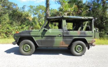 Mercedes-benz-250gd-1992-Woodland-Green-15