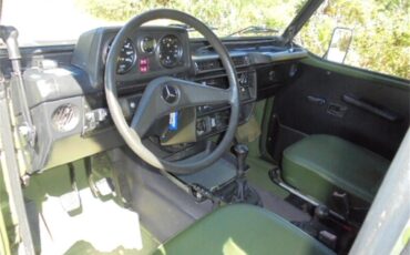 Mercedes-benz-250gd-1992-Woodland-Green-19