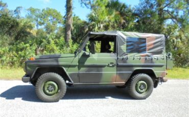 Mercedes-benz-250gd-1992-Woodland-Green-2