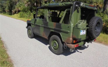 Mercedes-benz-250gd-1992-Woodland-Green-3