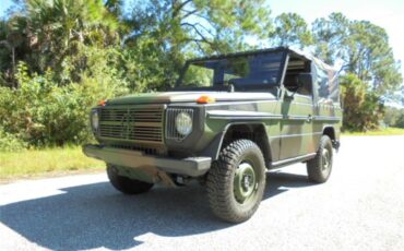 Mercedes-benz-250gd-1992-Woodland-Green