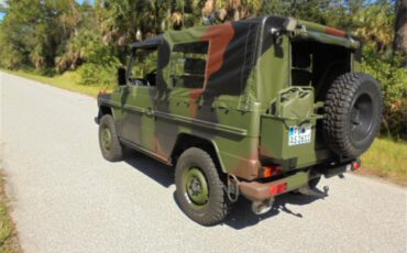 Mercedes-benz-250gd-1992-Woodland-Green-6