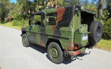 Mercedes-benz-250gd-1992-Woodland-Green-7