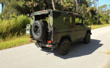 Mercedes-benz-250gd-1992-Woodland-Green-8