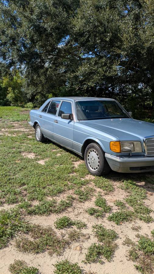 Mercedes-benz-300-sdl-diesel-1987-blue-10