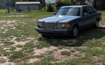 Mercedes-benz-300-sdl-diesel-1987-blue-9