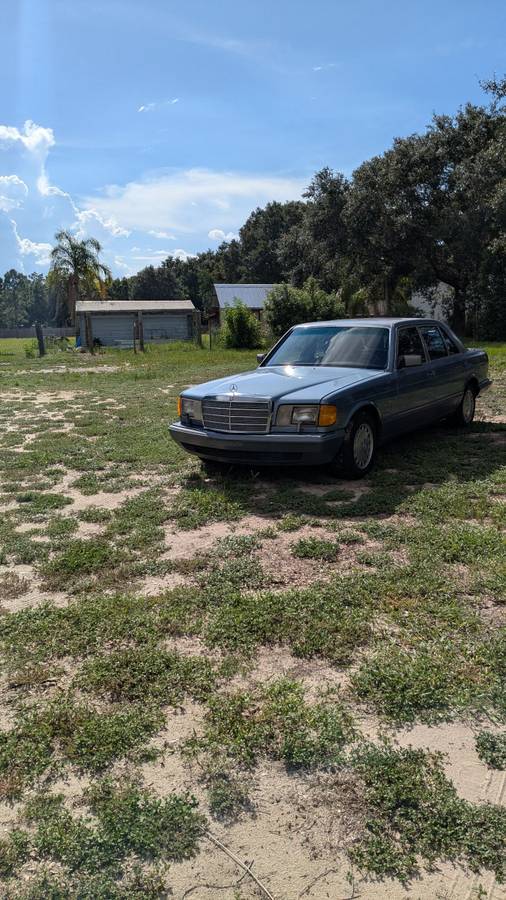 Mercedes-benz-300-sdl-diesel-1987-blue-9