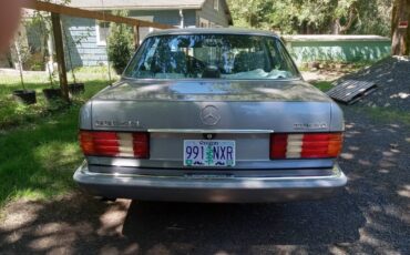 Mercedes-benz-300-sdl-diesel-1987-silver-10